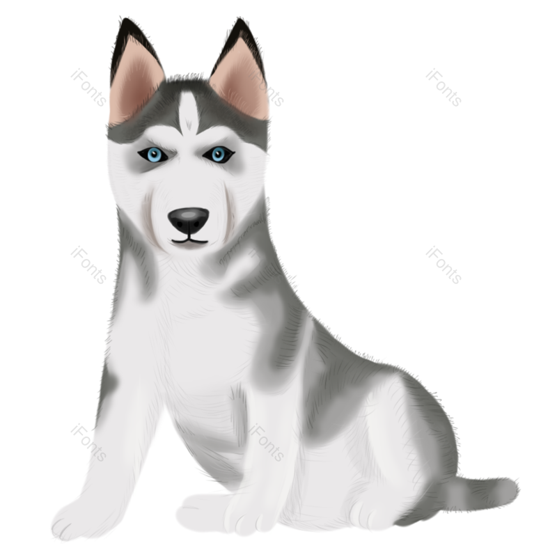 小狗图片,卡通手绘元素,PNG,免抠素材